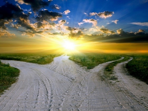 XXXIII Niedziela Zwykła- Ogłoszenia